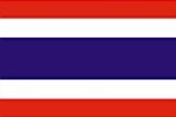 泰国EVOA签证  （落地签）